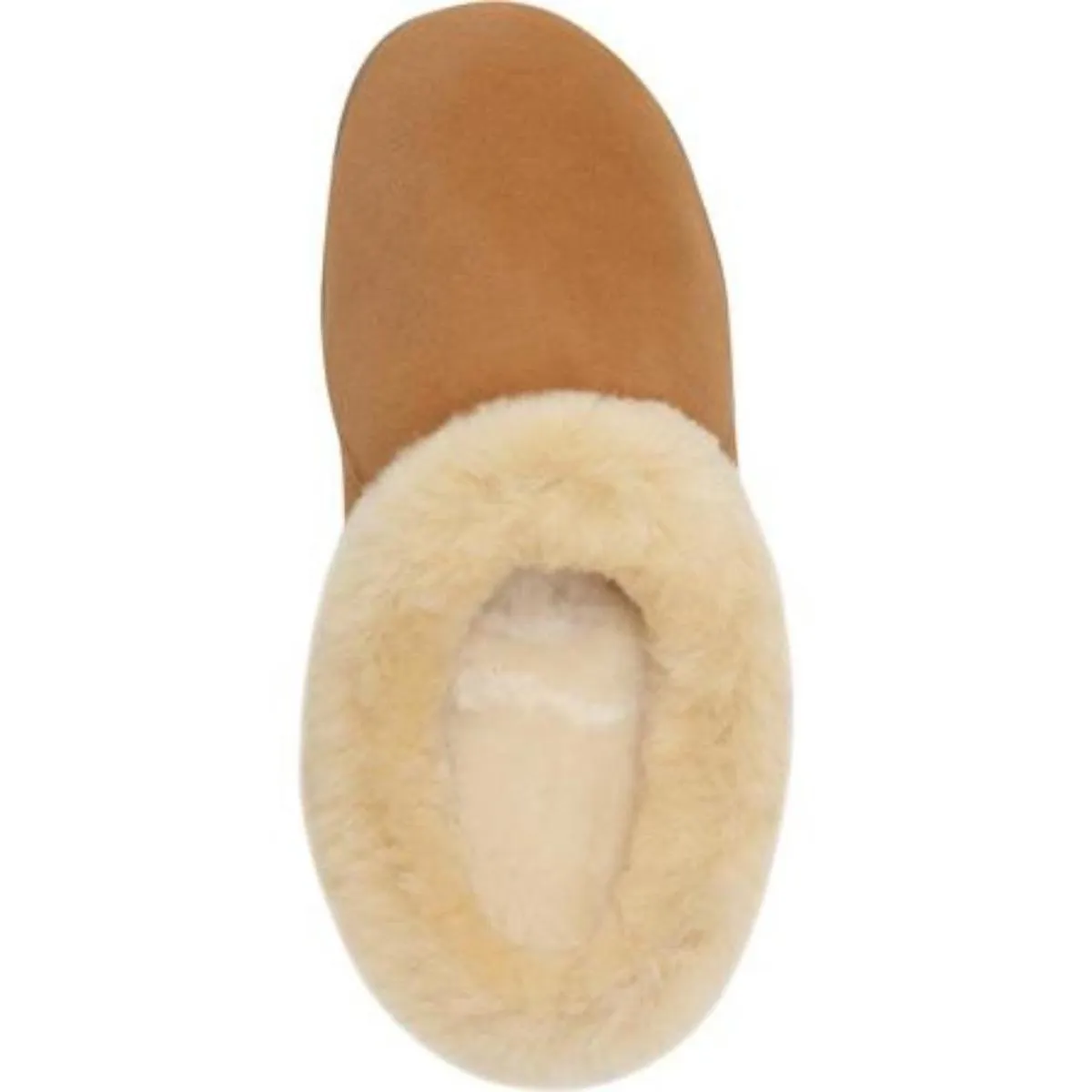 Acorn Women's Ewe Collar Slippers