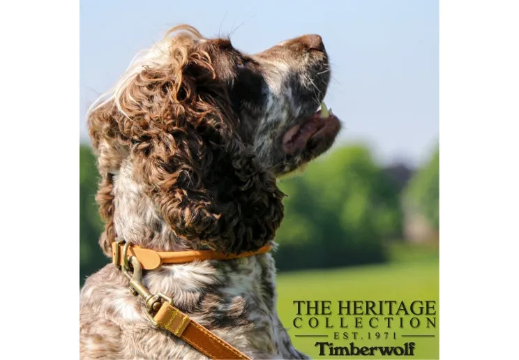 Ancol - Timberwolf Round Leather Collar - Mustard - Size 6