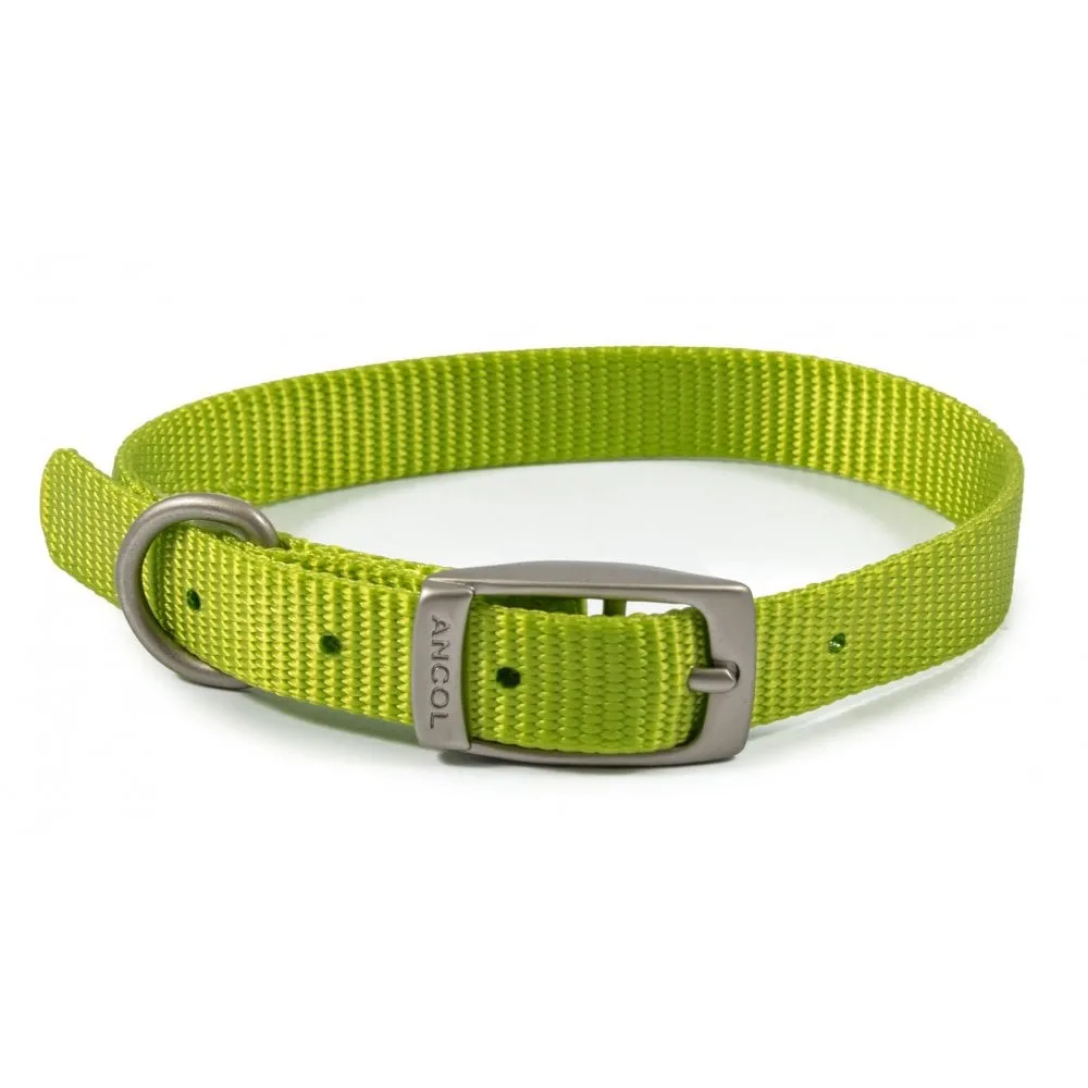 Ancol Viva Buckle Dog Collar