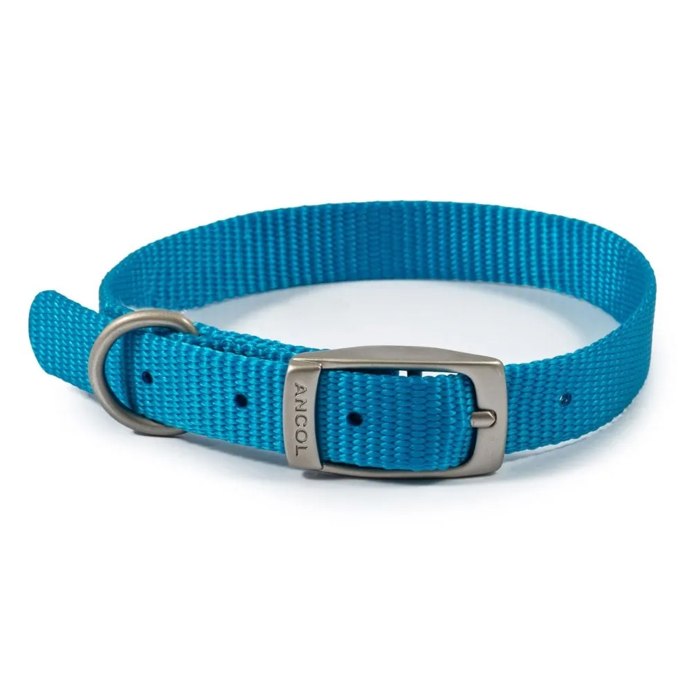 Ancol Viva Buckle Dog Collar