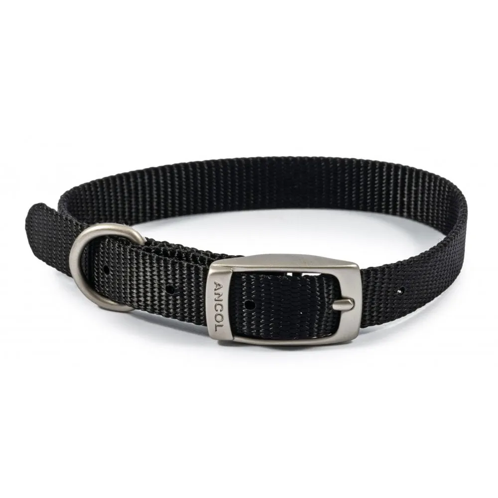 Ancol Viva Buckle Dog Collar