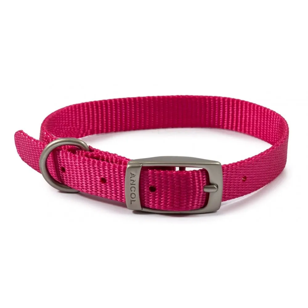 Ancol Viva Buckle Dog Collar