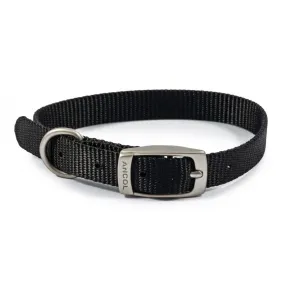 Ancol Viva Buckle Dog Collar