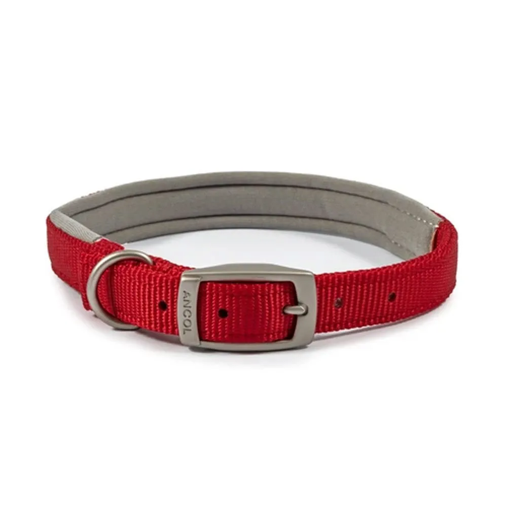 Ancol Viva Padded Buckle Dog Collar