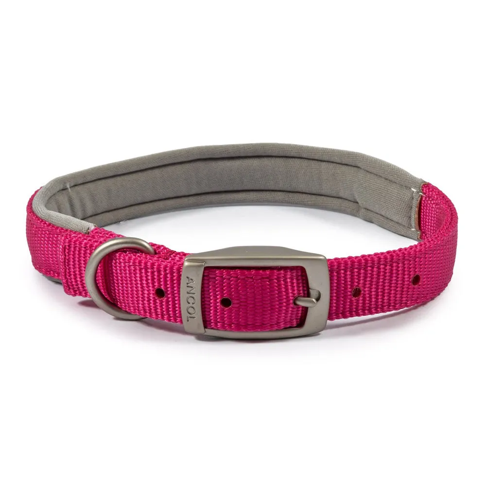 Ancol Viva Padded Buckle Dog Collar