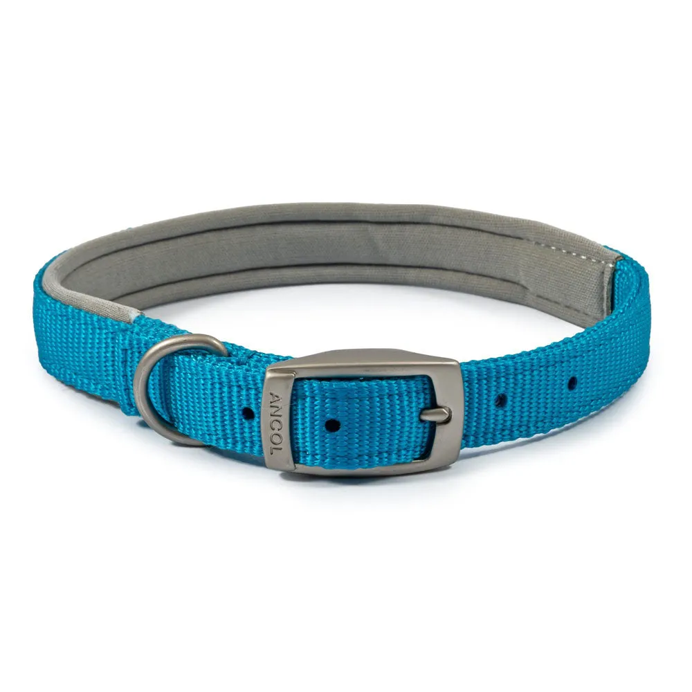 Ancol Viva Padded Buckle Dog Collar