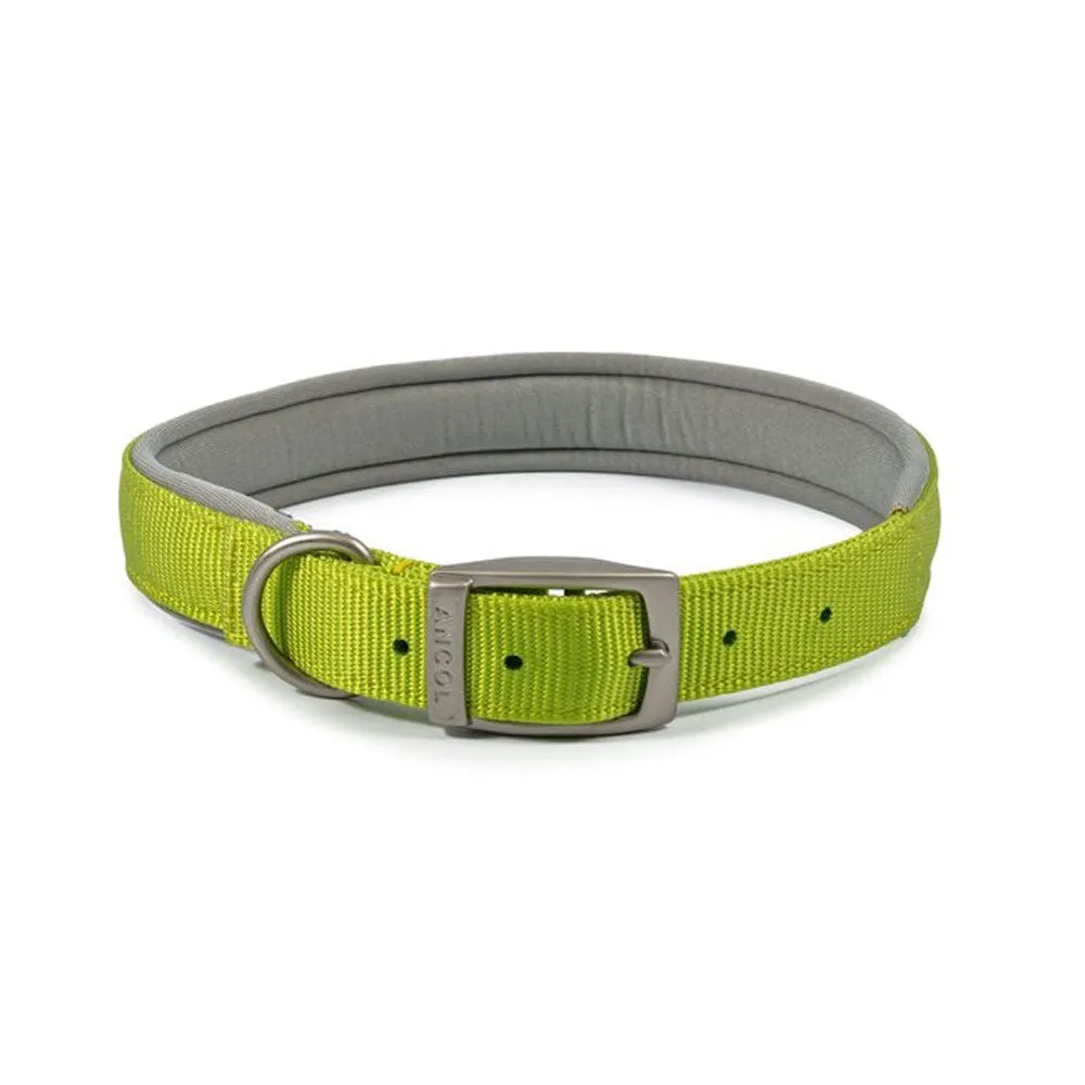 Ancol Viva Padded Buckle Dog Collar