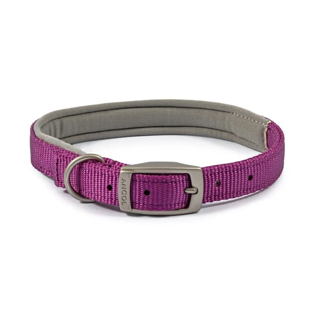 Ancol Viva Padded Buckle Dog Collar