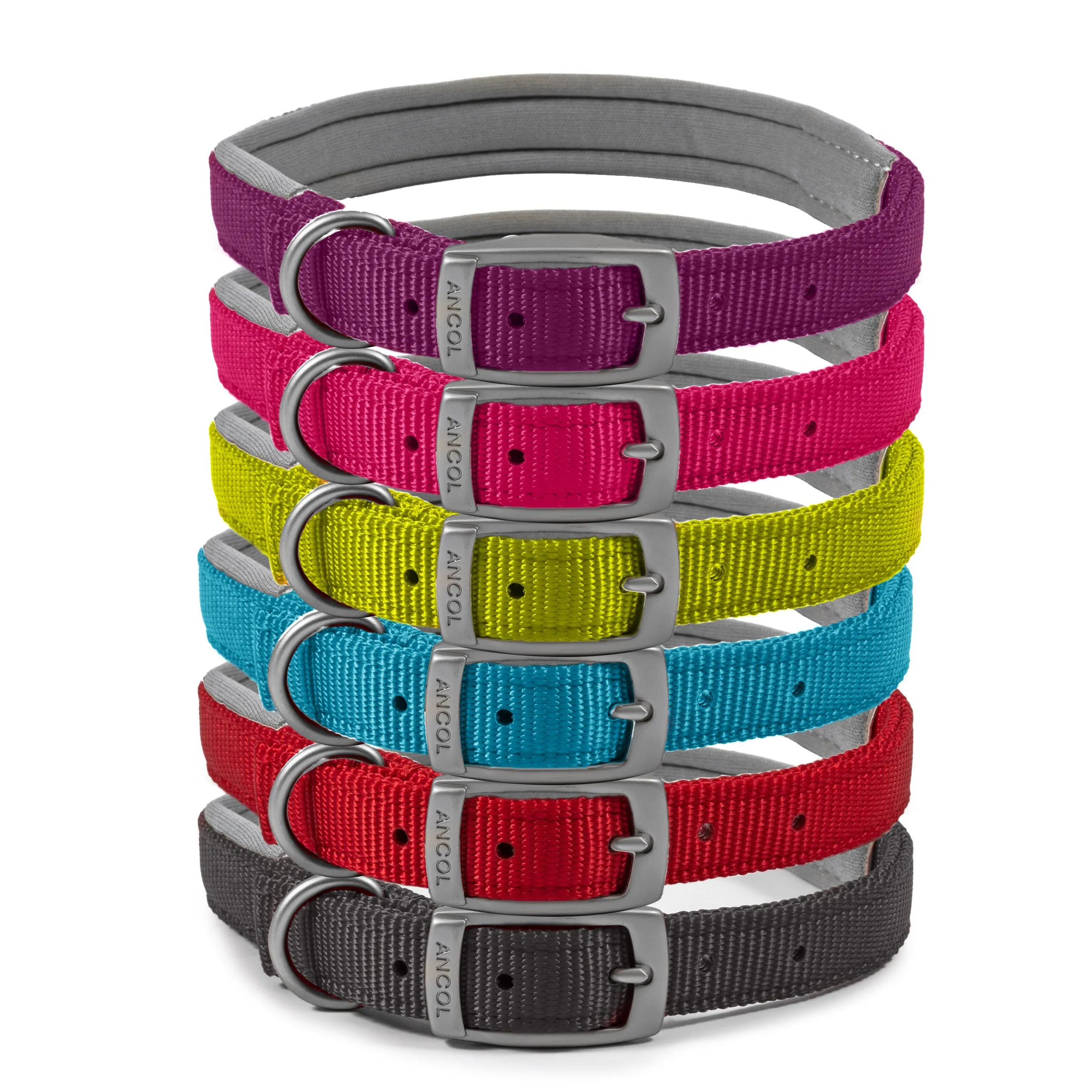 Ancol VIVA Padded Nylon Dog Collar