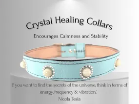 Anxiety & Stress Support - Healing Crystal Collars - Tiffany blue w/ Moonstones AS102