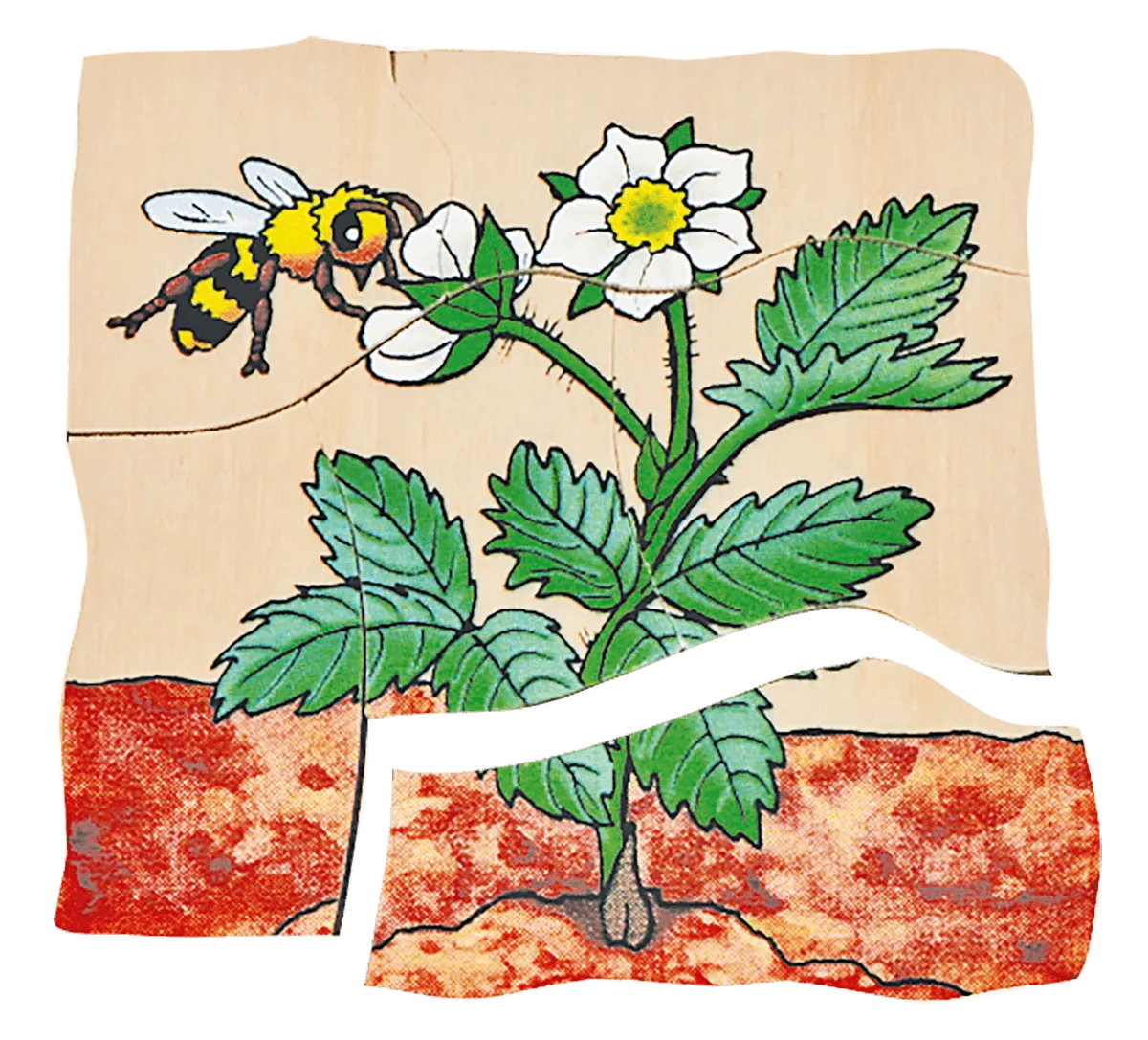 Beleduc Layer-Puzzle Strawberry Growing 草莓生長多層情景找找看拼圖