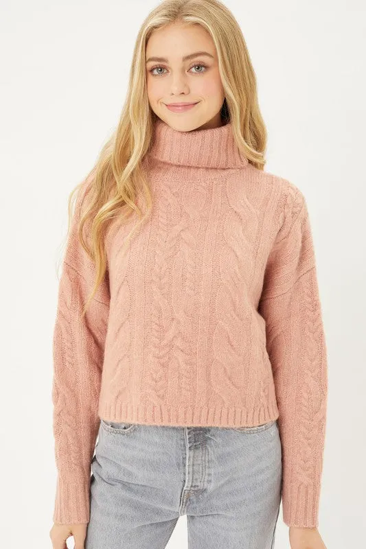 Cable Knit Short Turtleneck Sweater