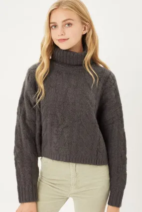 Cable Knit Short Turtleneck Sweater
