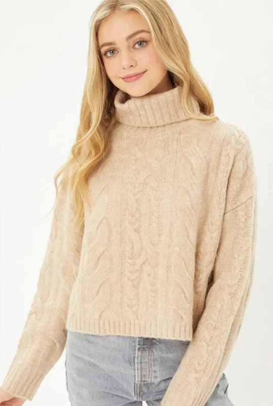 Cable Knit Short Turtleneck Sweater