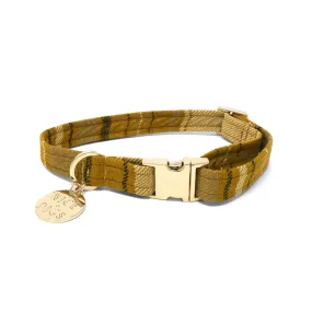 Colonel Mustard Dog Collar