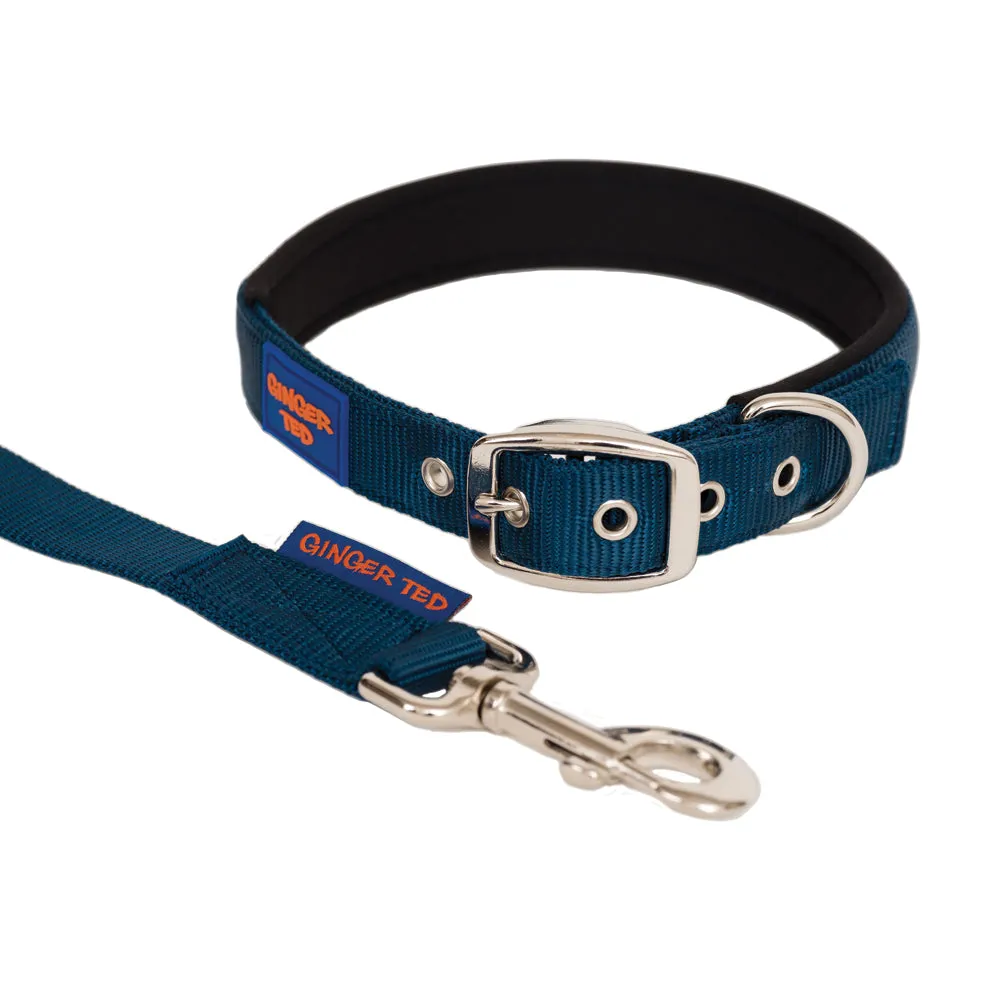 Comfort Nylon Padded Adjustable Dog Collar & Lead Value Pack