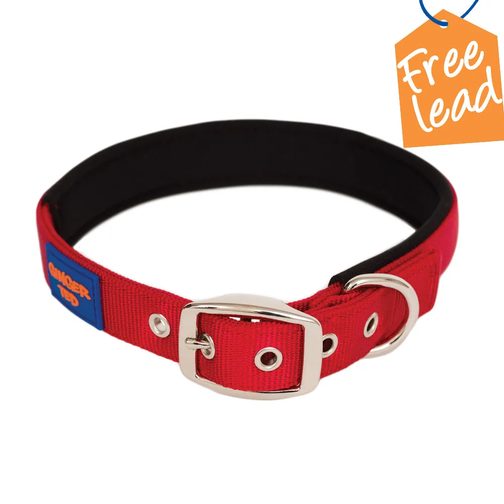 Comfort Nylon Quality Padded Adjustable Dog Collar