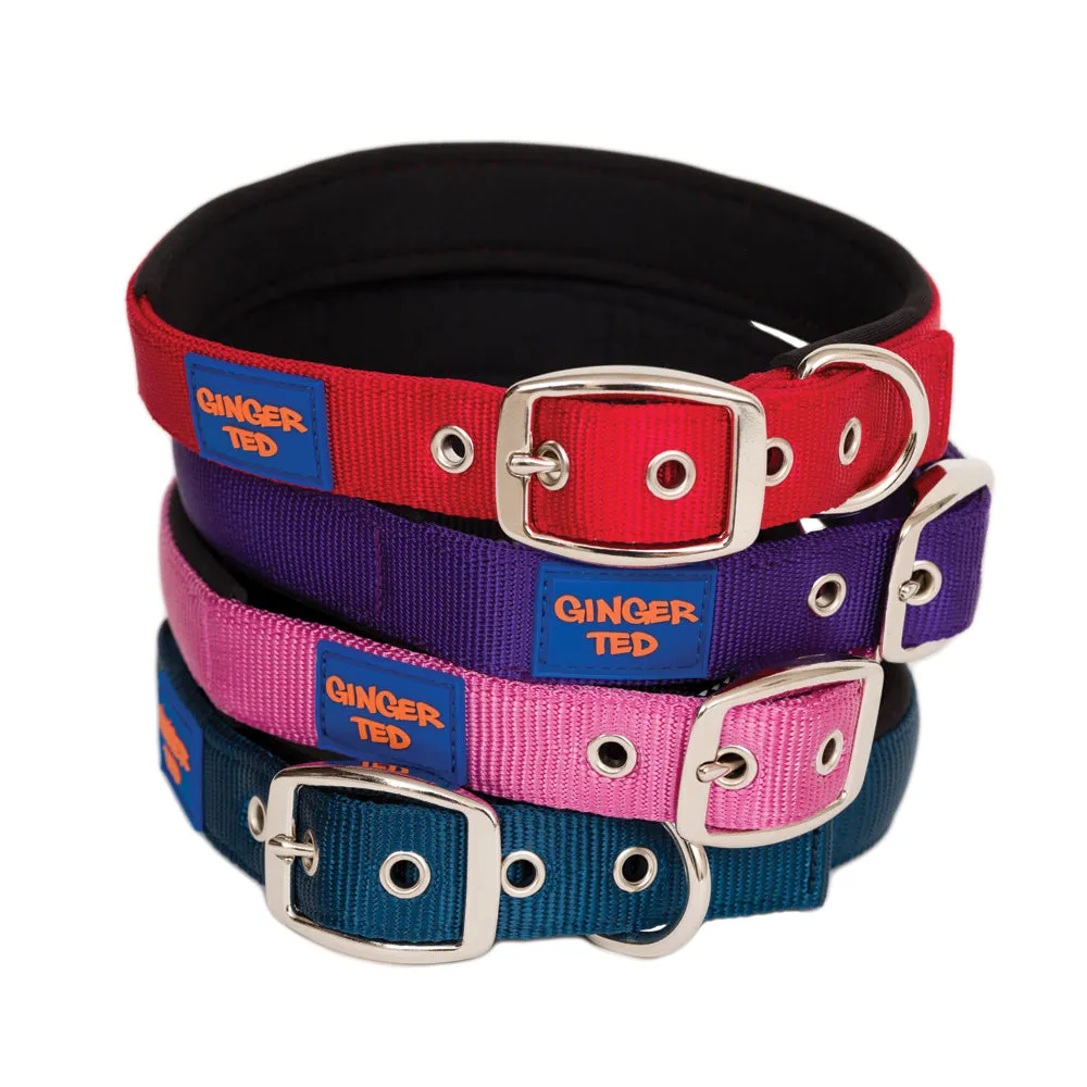 Comfort Nylon Quality Padded Adjustable Dog Collar