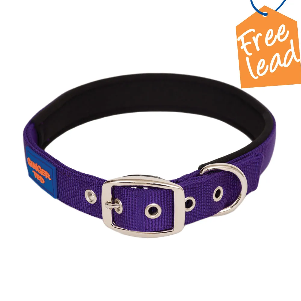 Comfort Nylon Quality Padded Adjustable Dog Collar