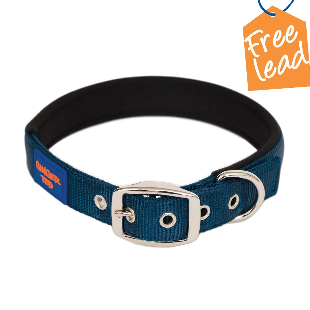 Comfort Nylon Quality Padded Adjustable Dog Collar