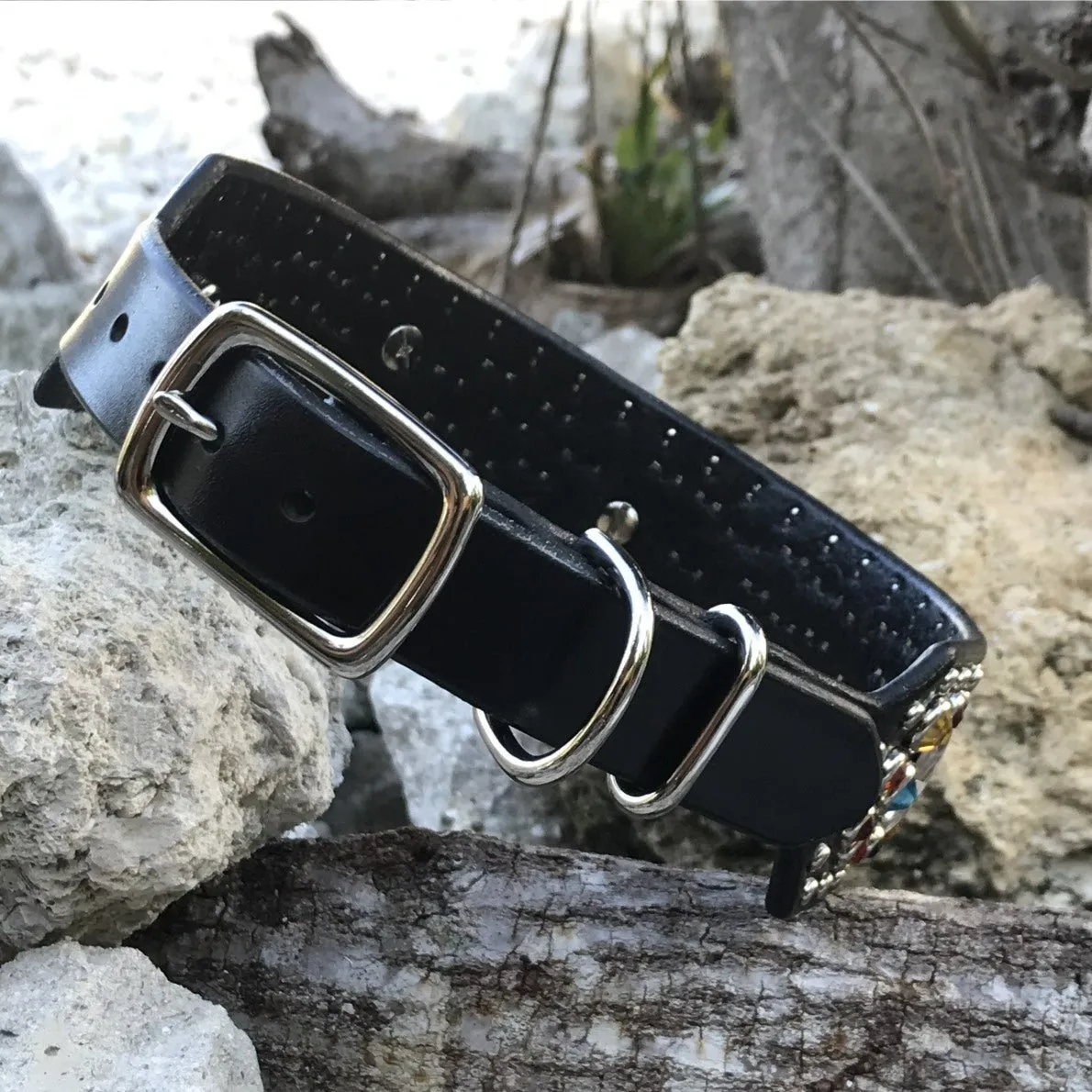 Custom Leather Dog Collar Galaxy 2" Wide