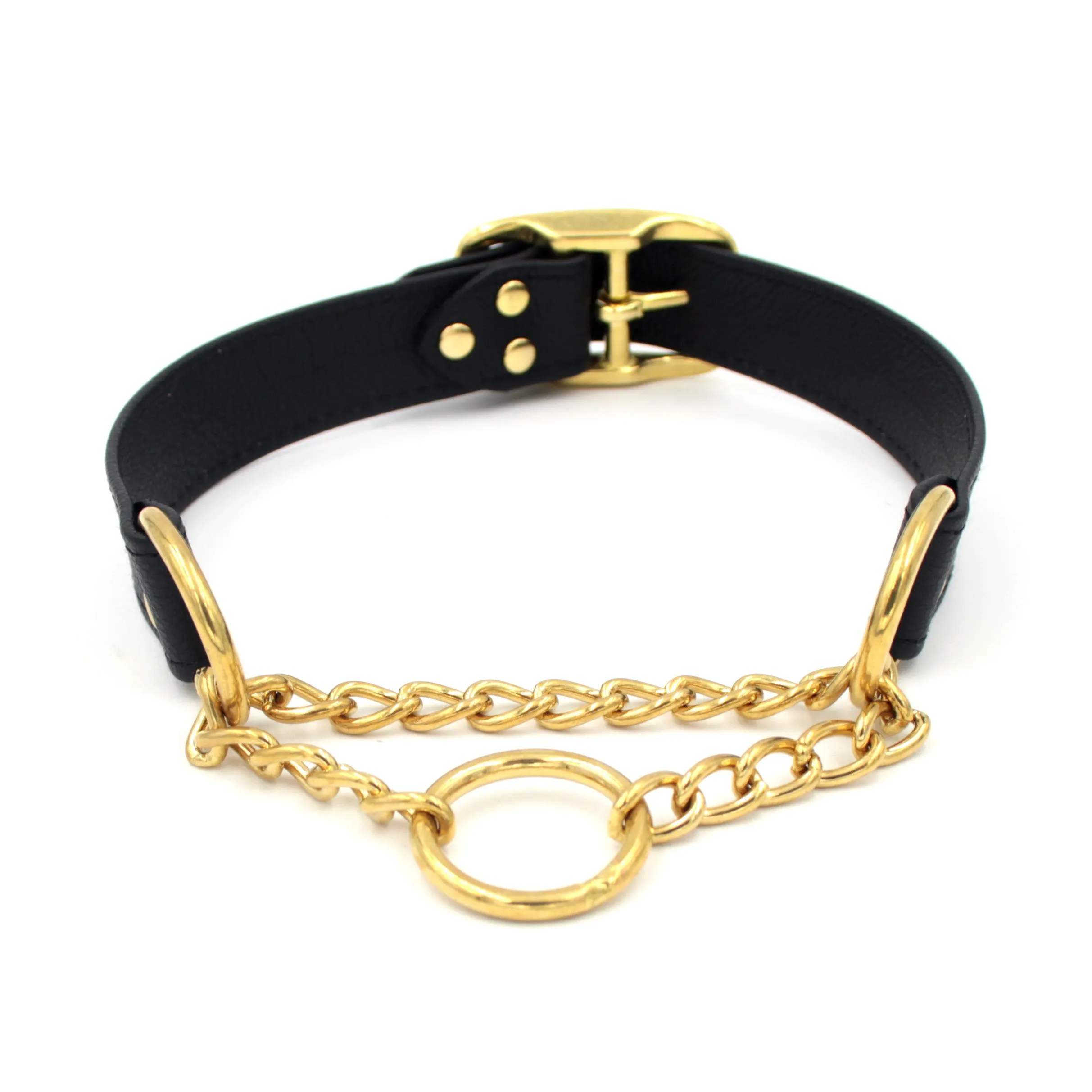 Design Your Own Classic Martingale Collar