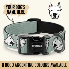 Dogo Argentino Collar