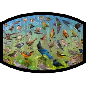 Face Mask - Backyard Birds of the West