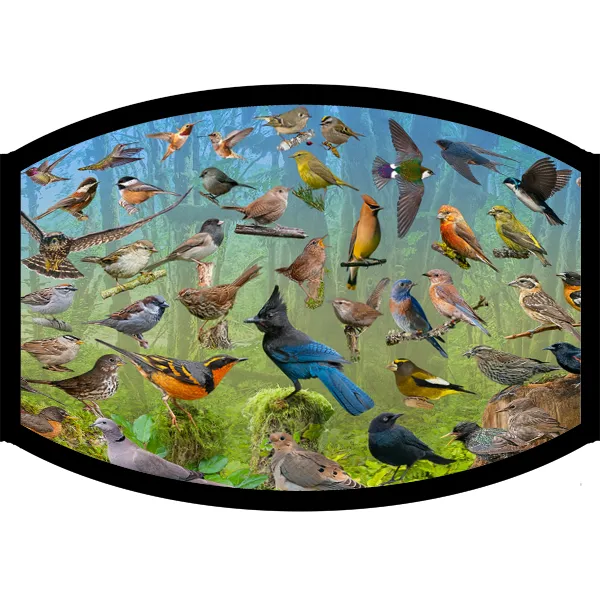 Face Mask - Backyard Birds of the West