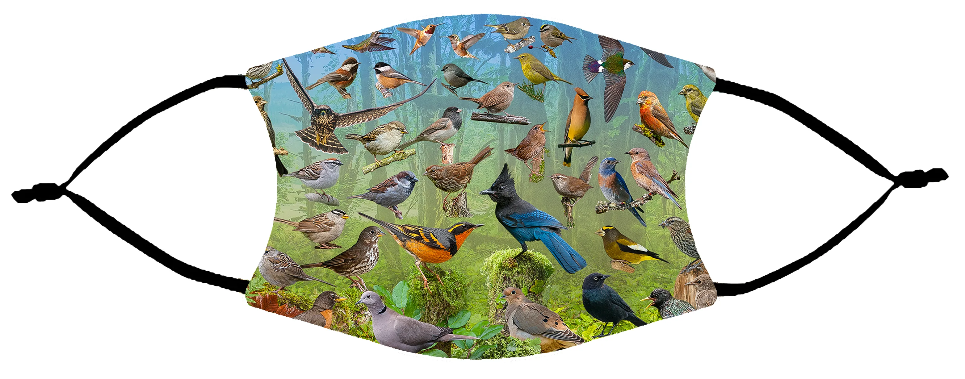 Face Mask - Backyard Birds of the West