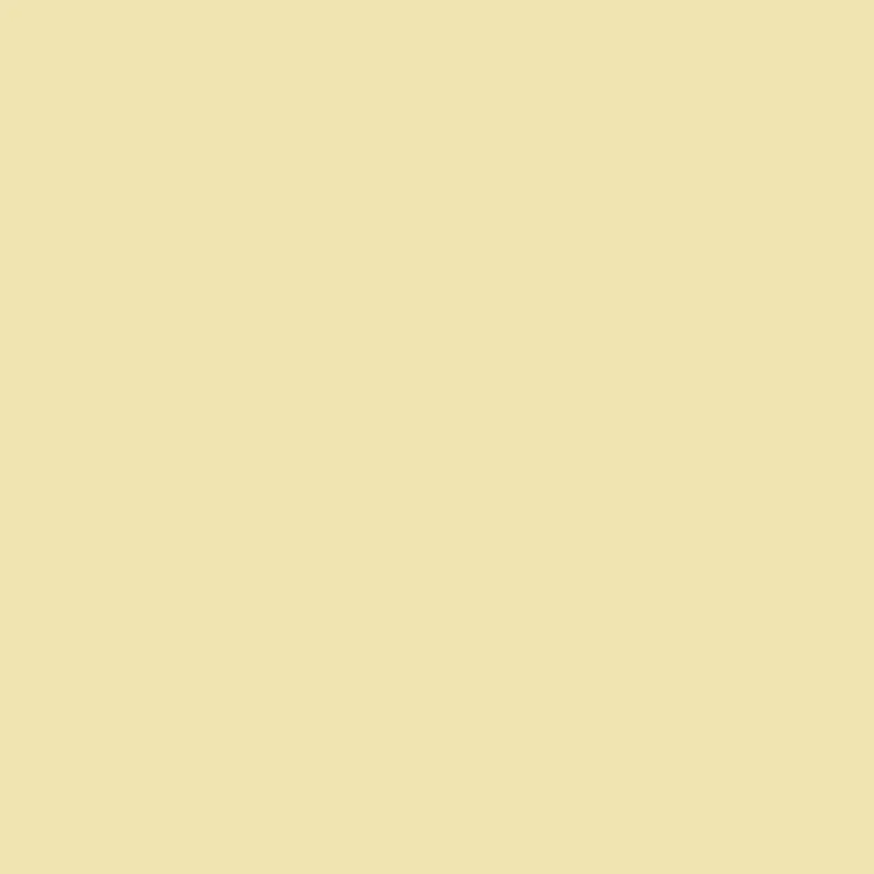Fleece And Fur Plain Fleece Beige