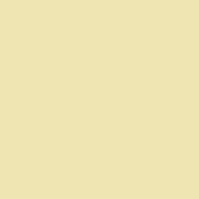 Fleece And Fur Plain Fleece Beige