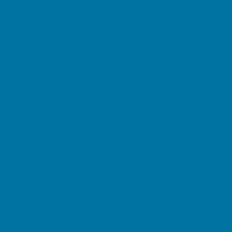 Fleece And Fur Plain Fleece Blue