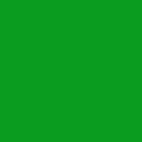 Fleece And Fur Plain Fleece Emerald