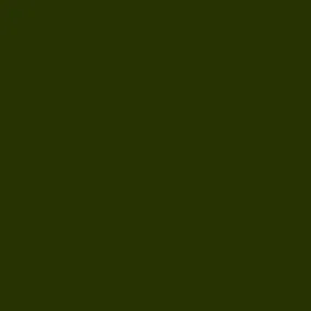 Fleece And Fur Plain Fleece Khaki