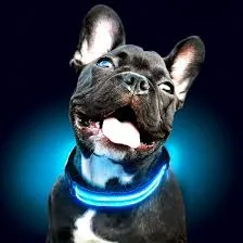 Led Light Dog Collar For Dogs, Light Up Collar for Dogs USB Rechargeable