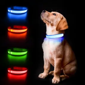 Led Light Dog Collar For Dogs, Light Up Collar for Dogs USB Rechargeable
