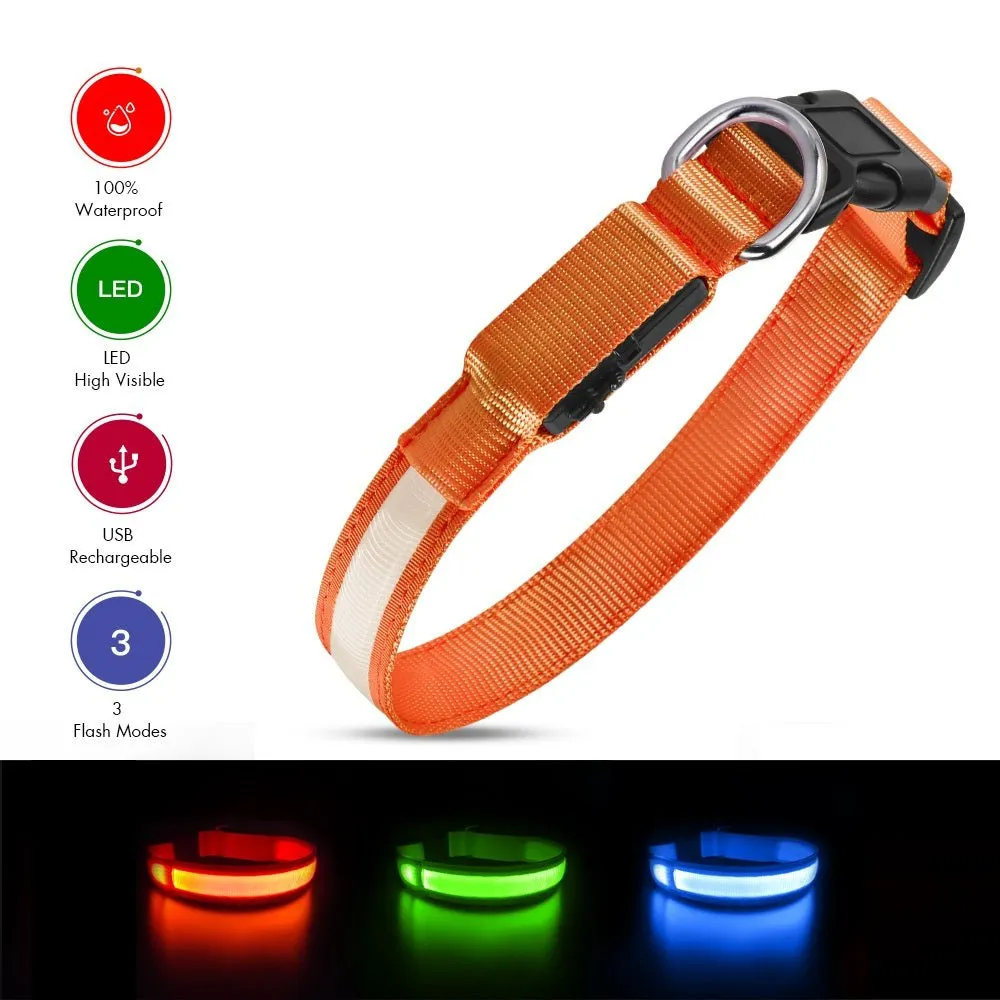 Led Light Dog Collar For Dogs, Light Up Collar for Dogs USB Rechargeable