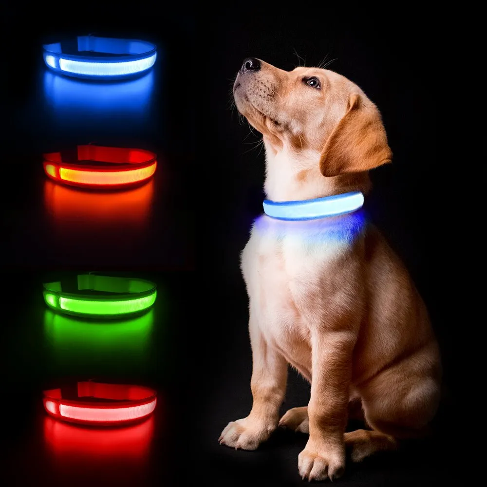 Led Light Dog Collar For Dogs, Light Up Collar for Dogs USB Rechargeable