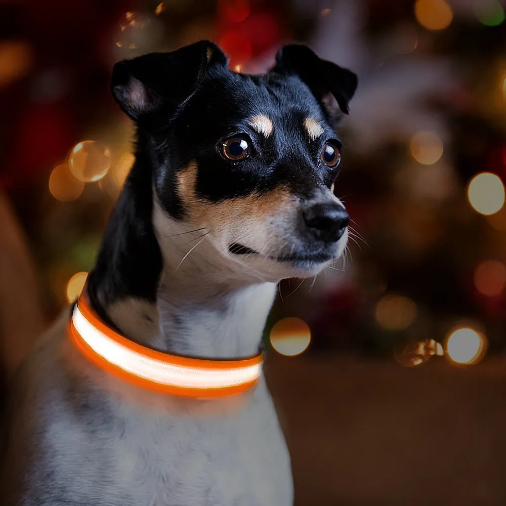 Led Light Dog Collar For Dogs, Light Up Collar for Dogs USB Rechargeable