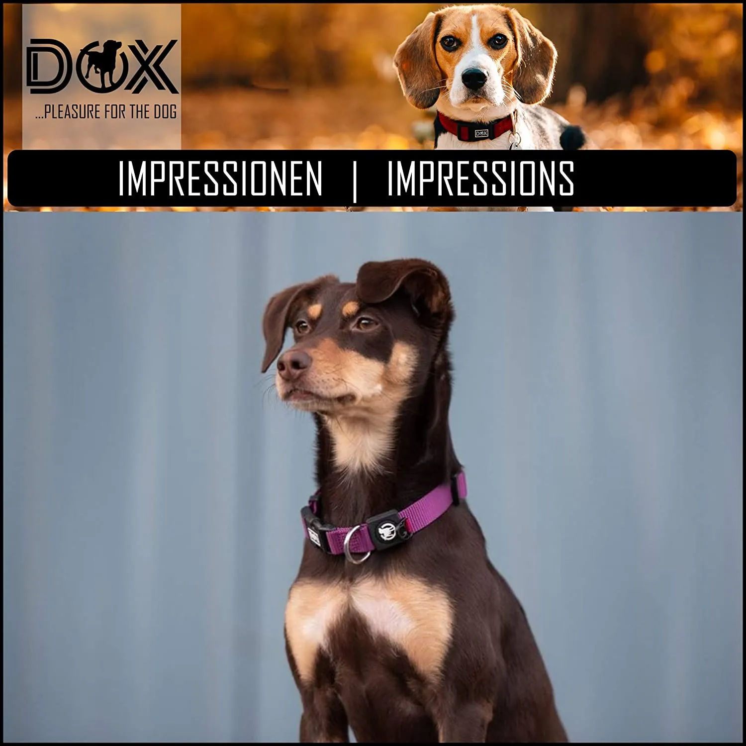 Nylon Dog Collar - Reflective & Adjustable - For Dogs Large & Small - Collar