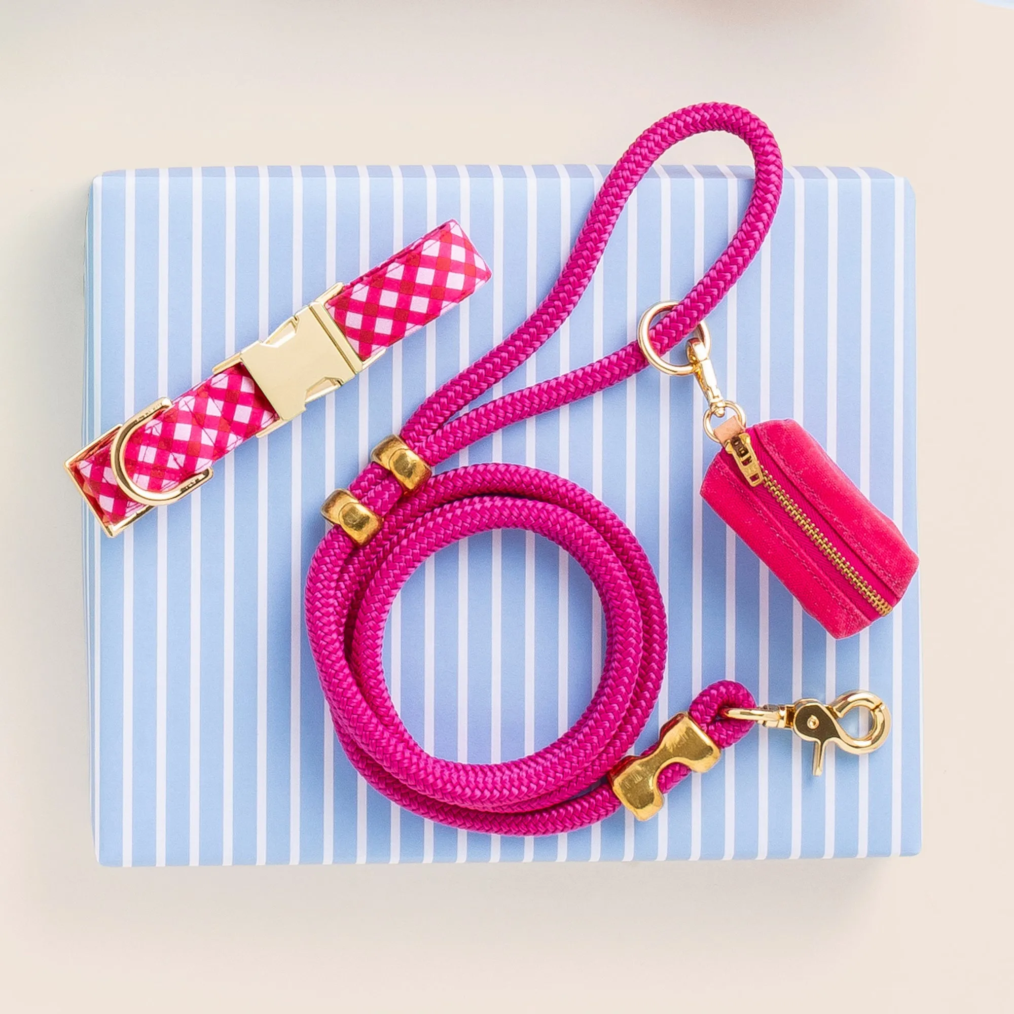 Raspberry Gingham Collar Walk Set