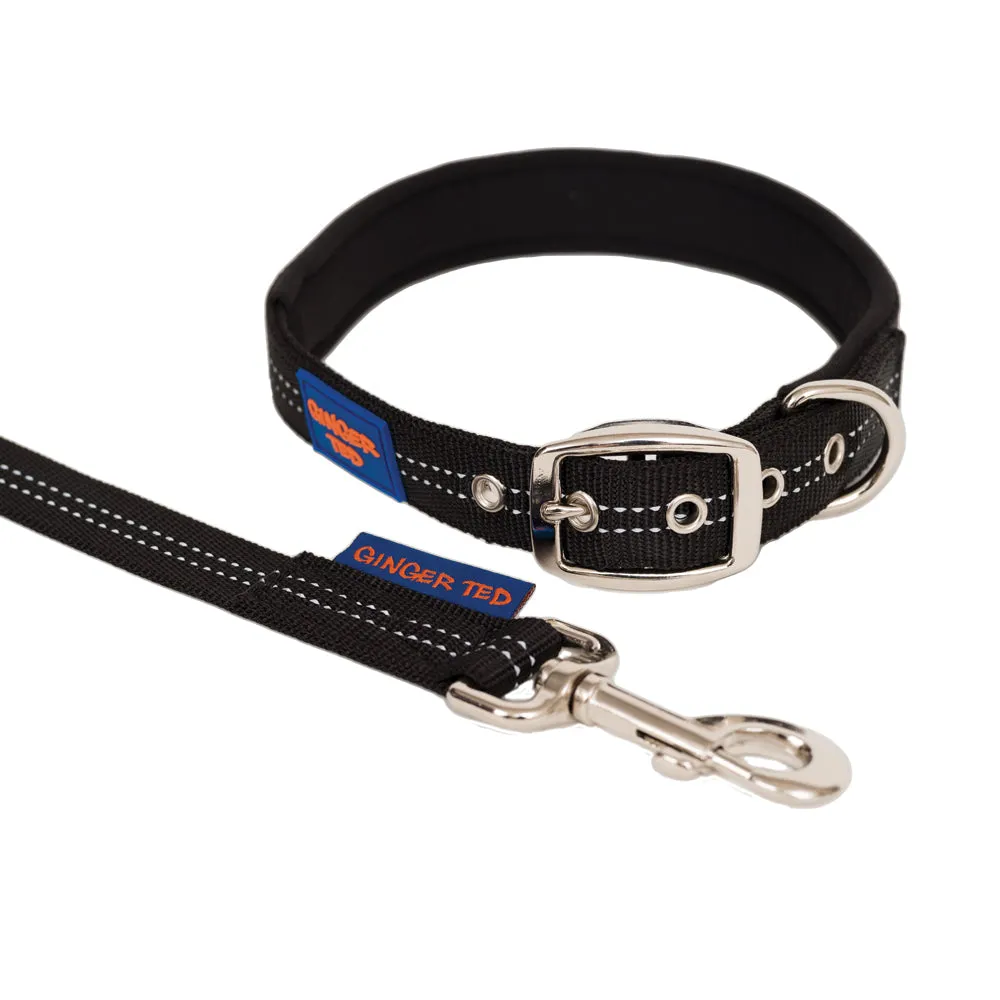 Reflective Comfort Nylon Padded Adjustable Dog Collar