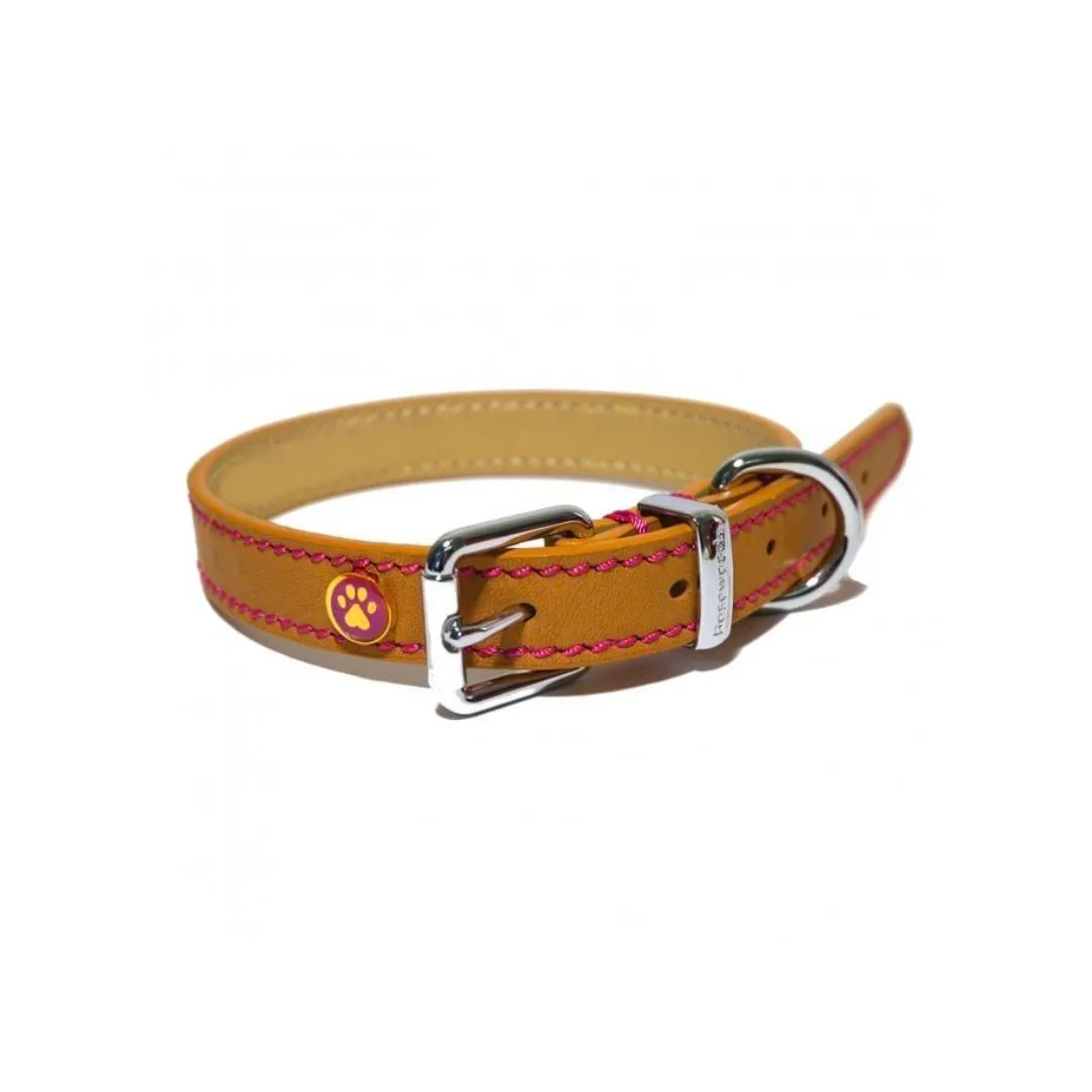 Rosewood Lux Leather Tan Dog Collar