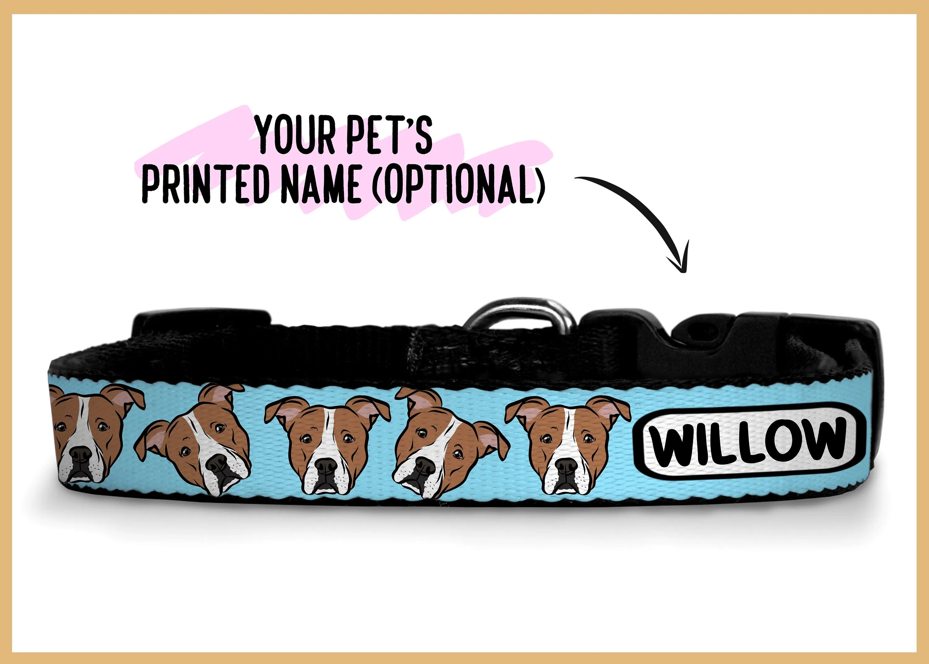 Staffordshire Bull Terrier Collar