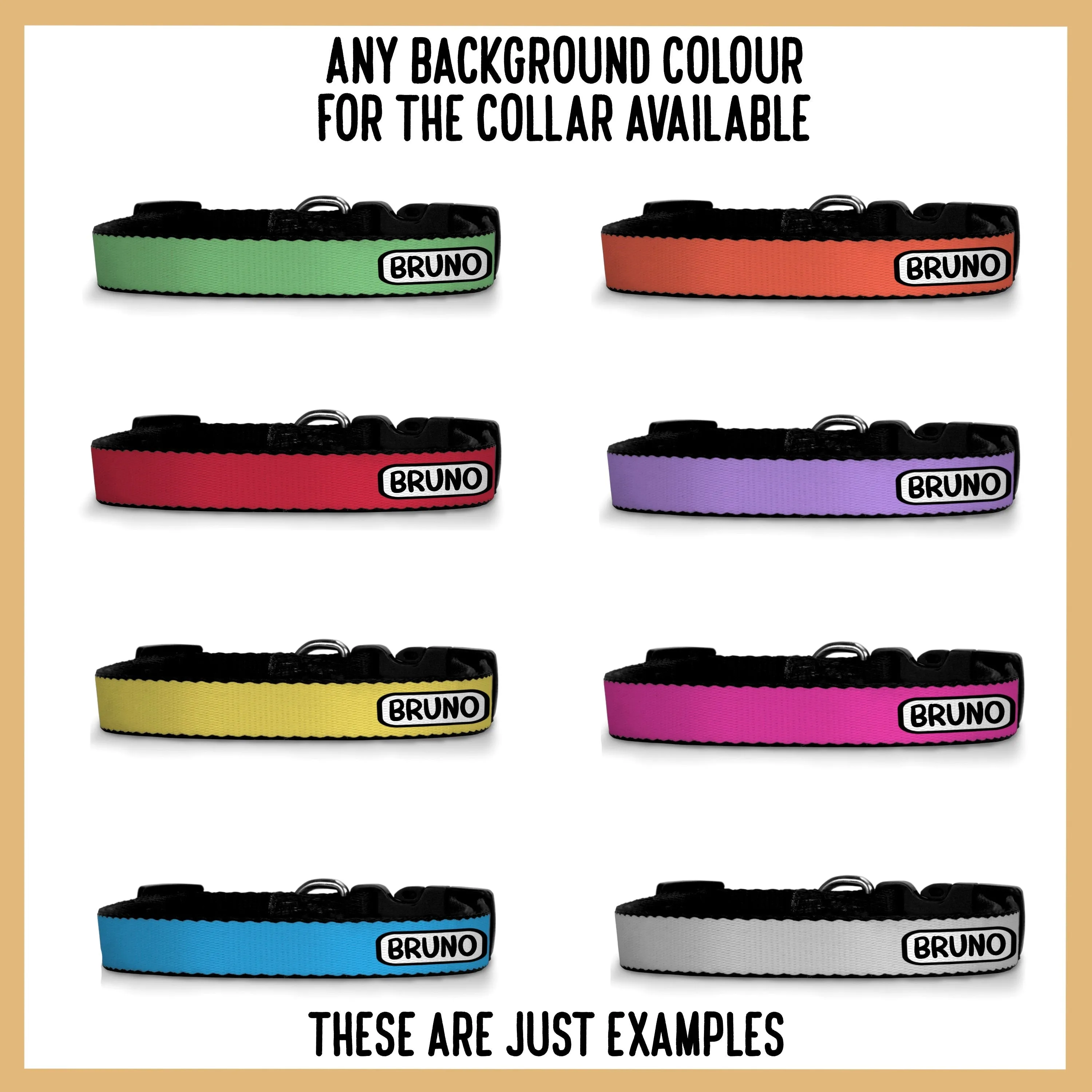 Staffordshire Bull Terrier Collar