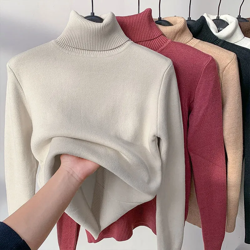 Thick Warm Turtleneck Sweater