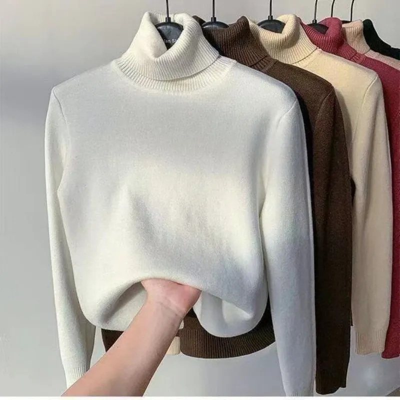 Thick Warm Turtleneck Sweater