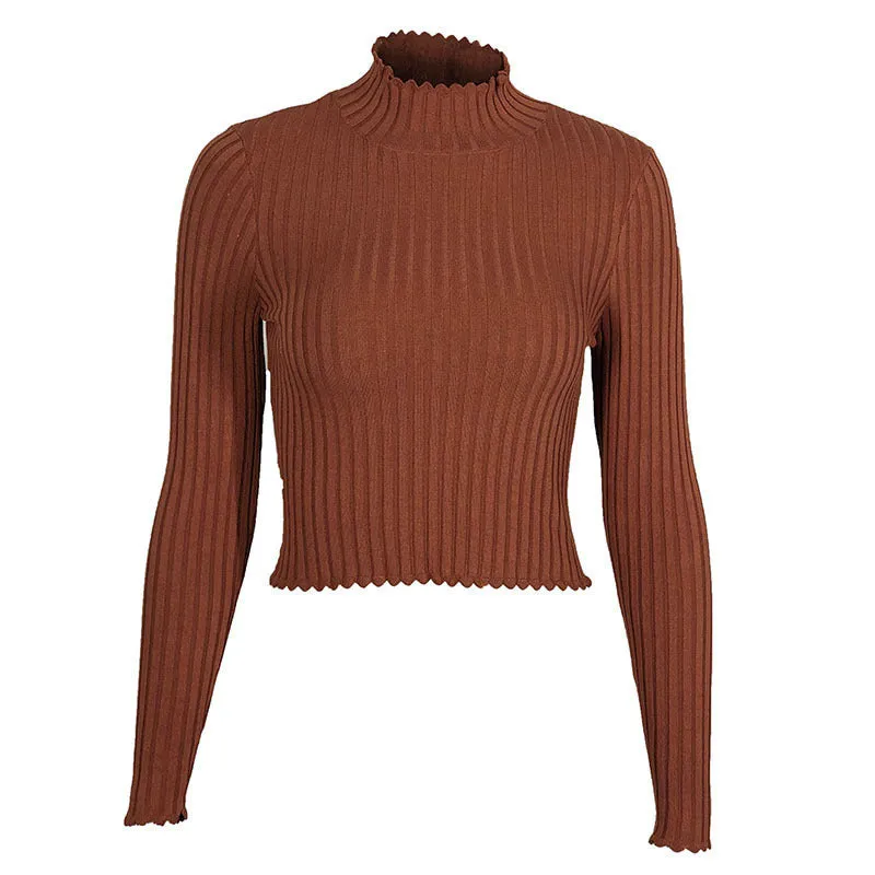 Turtleneck Slim Knit Women Cropped Short Sweater